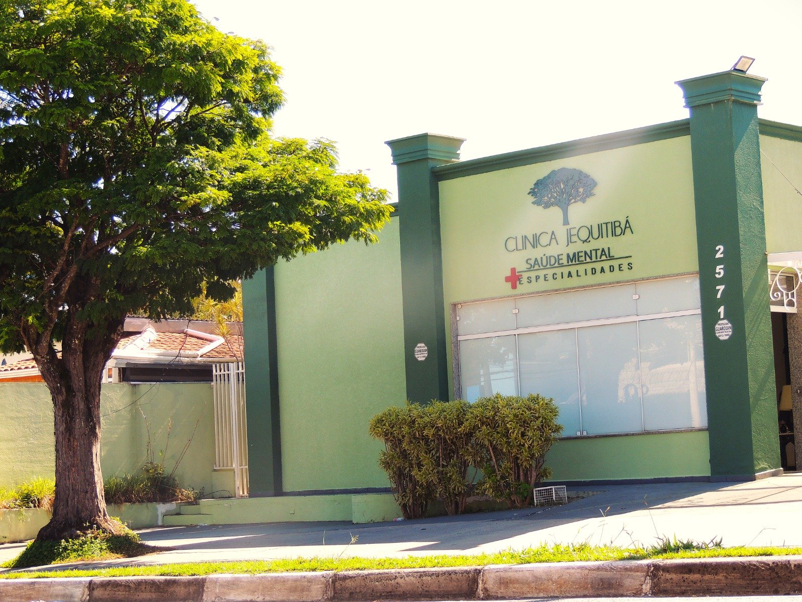 Dr. Leonardo Silveira Gomes 7